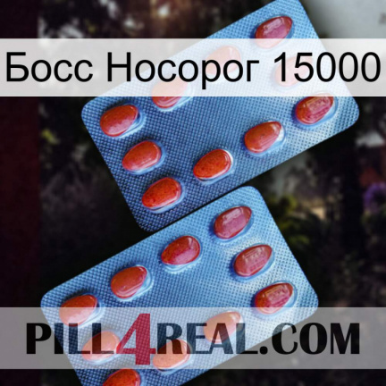 Босс Носорог 15000 05